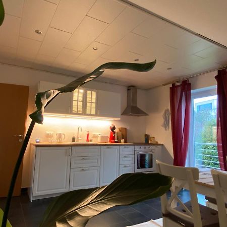 Moderne Ferienwohnung Seeblick Freudenberg (North Rhine-Westphalia) Exterior foto